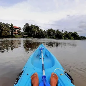 3* Bed & Breakfast Pearl Spot